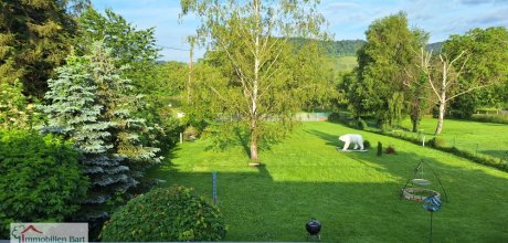 Mosel-Blick