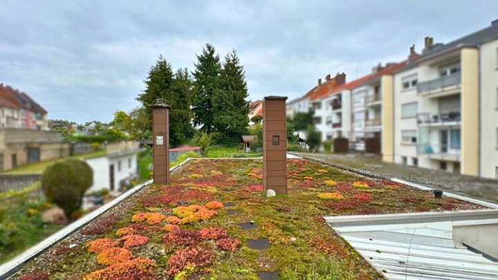 Großzügiges Haus, 410m² Gesamtfläche in ruhiger Seitenstraße von Saarbrücken-West