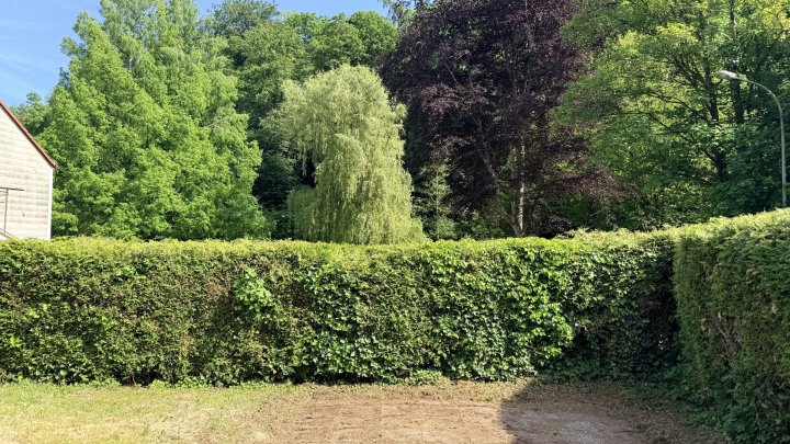 Neu renovierte und großzügige 3-Zimmer-Wohnung mit eigenem Gartenbereich in Beckingen zu vermieten