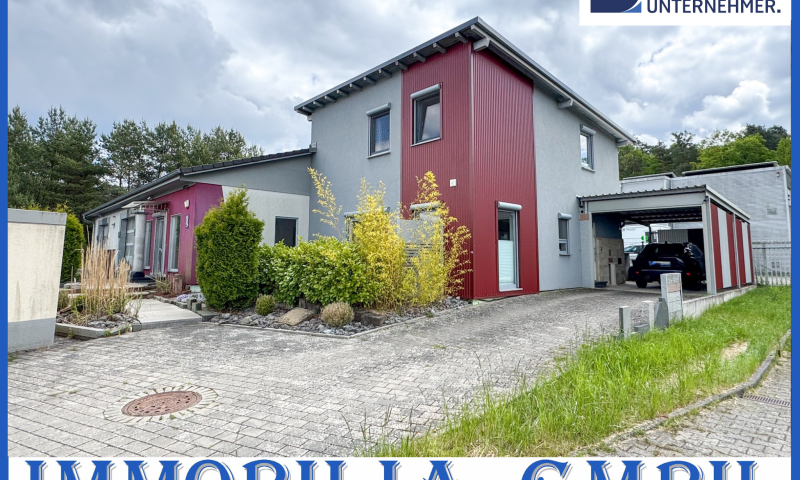 WOHNEN & ARBEITEN - Modernes EFH mit Werkstatthallen und Verkaufsfläche in 67688 Rodenbach