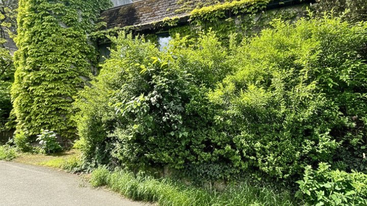 Einfamilienhaus mit ELW, tolles Grundstück mit Panoramablick über Saarbrücken