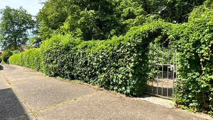 Altbauvilla mit parkähnlichem Grundstück auf dem oberen Rastpfuhl