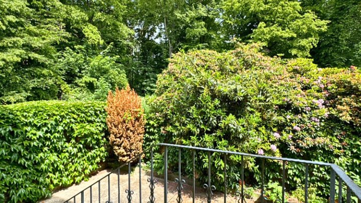 Altbauvilla mit parkähnlichem Grundstück auf dem oberen Rastpfuhl