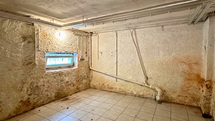 Altbauvilla mit parkähnlichem Grundstück auf dem oberen Rastpfuhl
