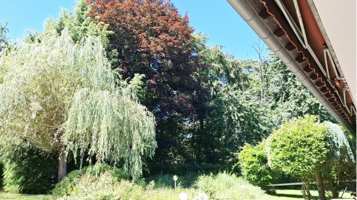 Familienfreundlicher Bungalow mit großzügigem Garten und Teich in Merzig-Schwemlingen