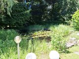 Teich