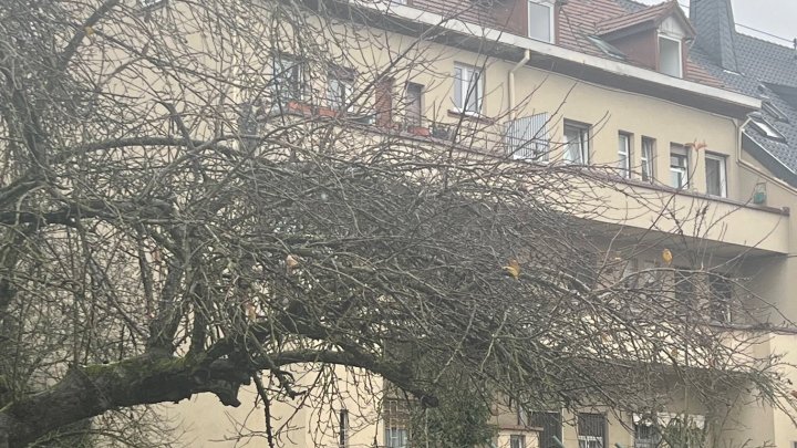 Vielseitiges Mehrfamilienhaus mit Potenzial und Baugrundstück in Bous zu verkaufen - ein Traum für Investoren!