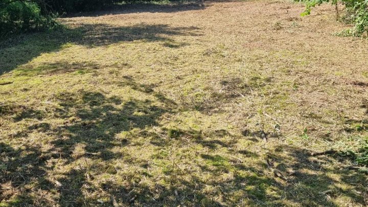 Großes schön gelegenes Grundtsück nahe an der Prims in Wadern-Büschfeld zu verkaufen