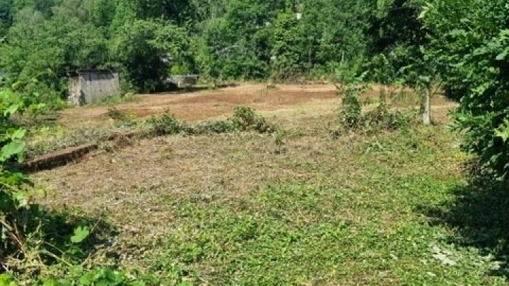 Großes schön gelegenes Grundtsück nahe an der Prims in Wadern-Büschfeld zu verkaufen