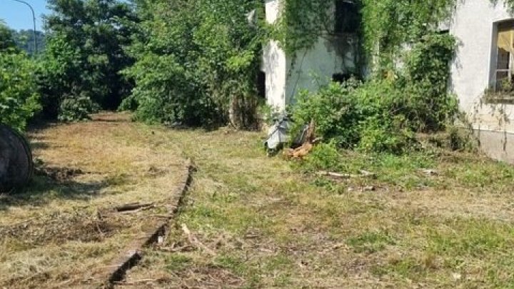 Großes schön gelegenes Grundtsück nahe an der Prims in Wadern-Büschfeld zu verkaufen