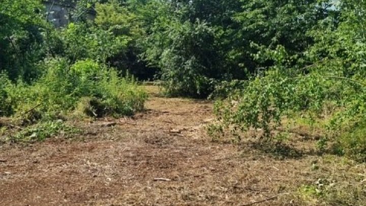 Großes schön gelegenes Grundtsück nahe an der Prims in Wadern-Büschfeld zu verkaufen