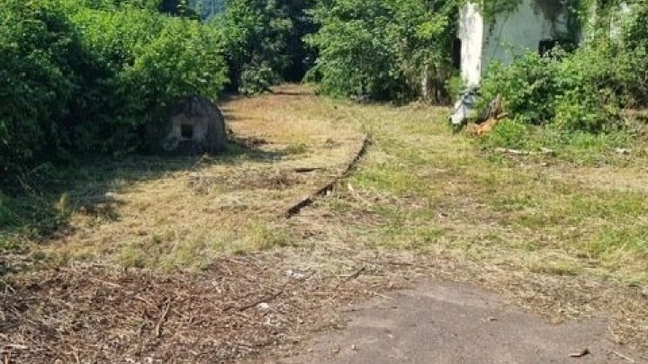 Großes schön gelegenes Grundtsück nahe an der Prims in Wadern-Büschfeld zu verkaufen