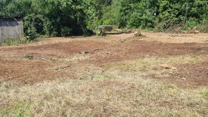 Großes schön gelegenes Grundtsück nahe an der Prims in Wadern-Büschfeld zu verkaufen