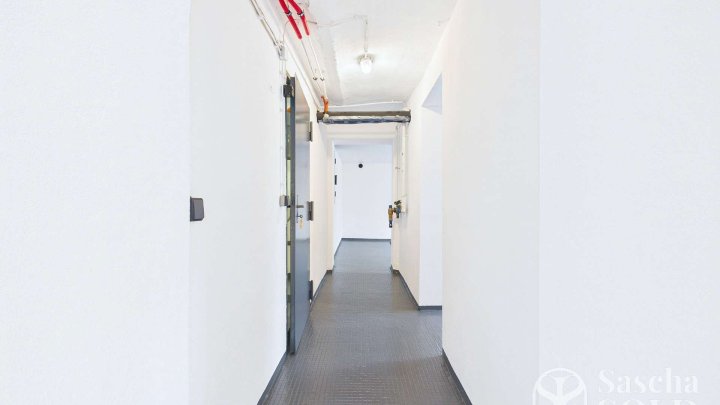 Sofort bezugsfertig - modernisiertes Einfamilienhaus mit Doppelgarage am Waldrand in Rentrisch