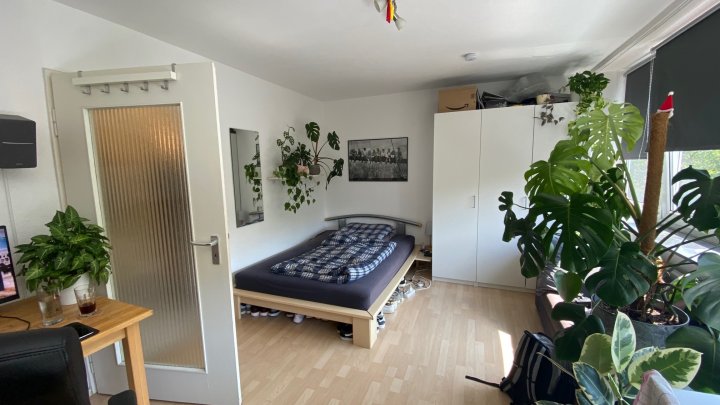 Schönes 1. Zimmer Apartment SB Innenstadt mit großzügiger Belichtung/Aufzug