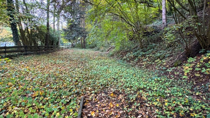 2-3 Familienhaus mit Einfahrt und Garagen in guter Lage von Fechingen