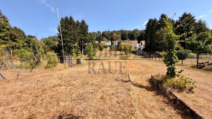 FAMILIENGLÜCK MIT VIEL PLATZ, GROSSER SCHEUNE UND WEITLÄUFIGEM GARTEN IN HASSEL - SOFORT FREI