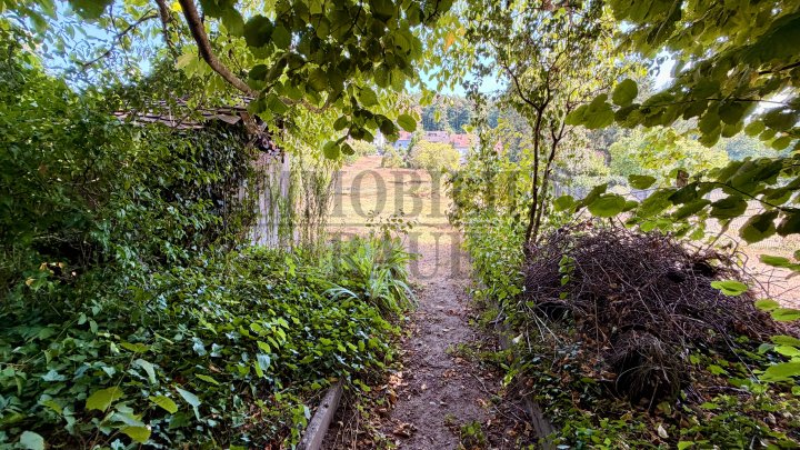 FAMILIENGLÜCK MIT VIEL PLATZ, GROSSER SCHEUNE UND WEITLÄUFIGEM GARTEN IN HASSEL - SOFORT FREI