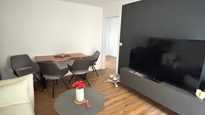 Hochwertig renovierte und möblierte 2-ZKB mit EBK, Terrasse + Garage