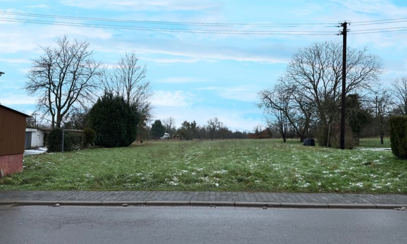 GRENZE L-REMICH: BAUGRUNDSTÜCK MIT ALTBESTAND