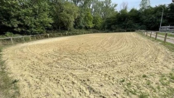 Prestigeträchtige Anlageimmobilie im Grünen und der Möglichkeit zur Pferdehaltung