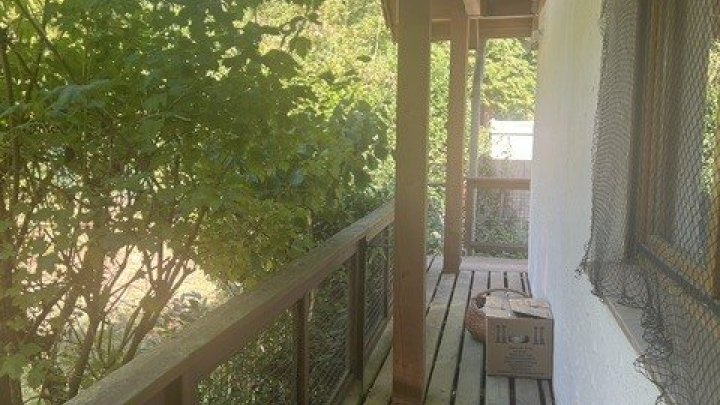 Charmantes Familienhaus in Saarbrücken-Scheidterberg - Großzügiges Wohnen mitten im Grünen
