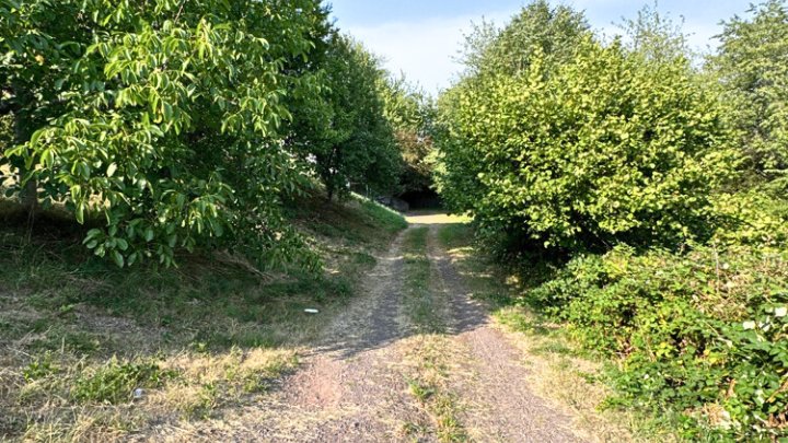 Entwicklungsfähiges Grundstück (Mischgebiet) zentral nahe Ortsmitte
