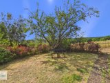 Garten Ausblick in die Natur