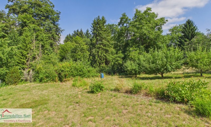 NATUR PUR! WOHNHAUS MIT 2 WOHNUNGEN IN FREUDENBURG!