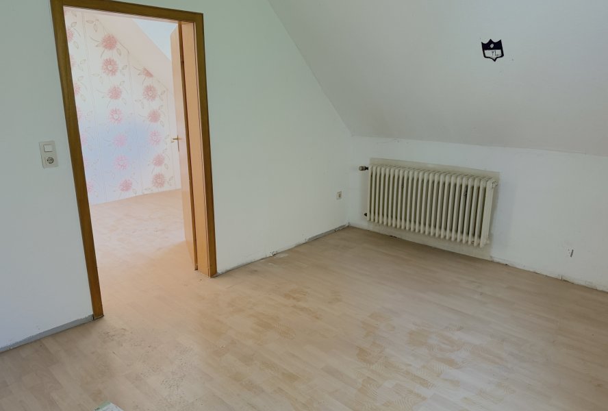 Zimmer DG