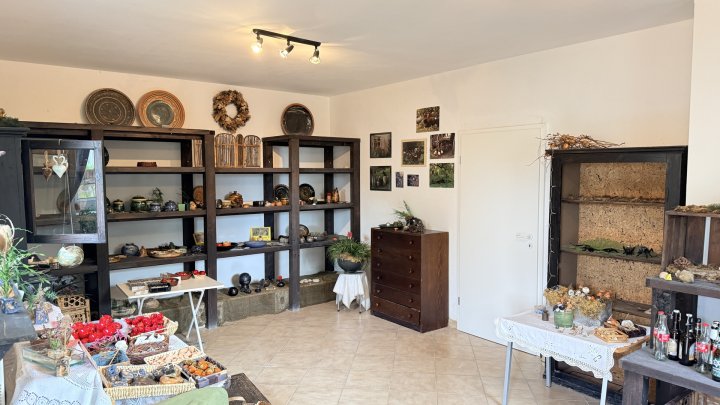 Freistehendes Einfamilienhaus mit großer Garage, Balkon, Terrasse u. gepflegtem Garten in Seyweiler
