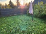 Für die Mieter nutzbarer, umzäunter Garten