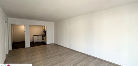 Wohn-/Esszimmer mit Küche