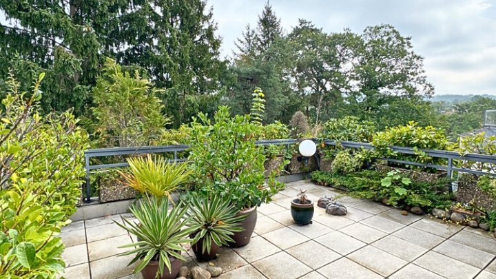 3-ZKB mit EBK, Garage, Terrasse, Loggia + Balkon, tolle Lage Am Homburg