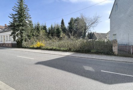 Grundstück