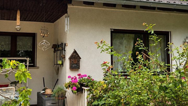 Bungalow mit großzügigem Grundstück und eigenem Pool - Leben und Wohlfühlen in Wadern-Nunkirchen -Pferdehaltung möglich-