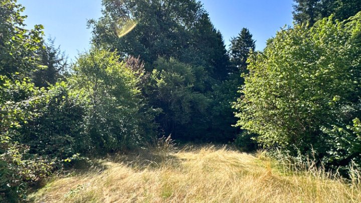 Schönes Einfamilienhaus in bevorzugter Waldrandlage auf der Unner