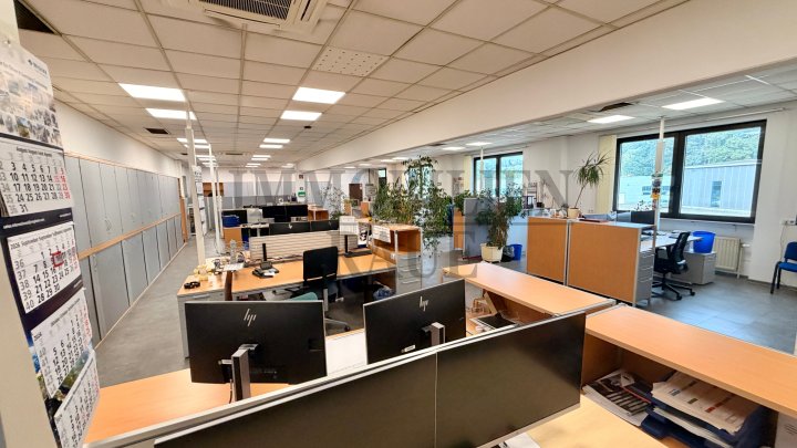 GROSSZÜGIGE GEWERBE- UND INDUSTRIELIEGENSCHAFT MIT PRODUKTIONS-, LAGER-, WERKSTATT- UND BÜROFLÄCHEN