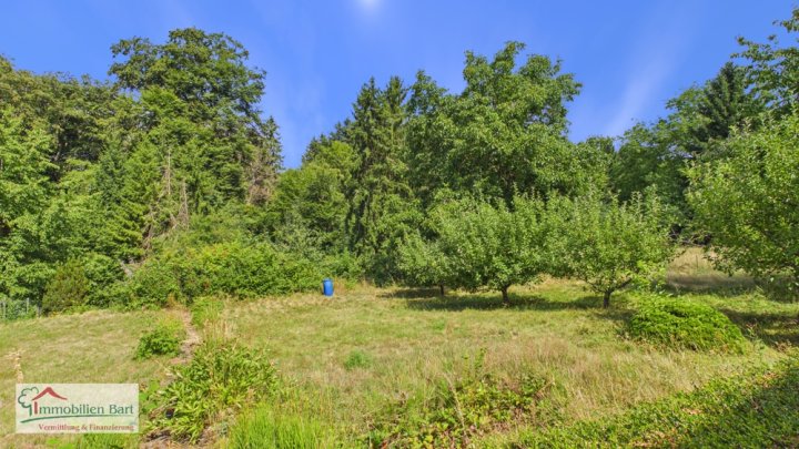 NATUR PUR! WOHNHAUS MIT 2 WOHNUNGEN IN FREUDENBURG!