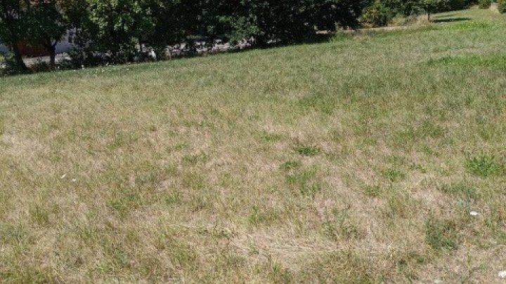 PROVISIONSFREI-BAUGRUNDSTÜCK MIT BACHLAUF UND EIGENER QUELLE, RUHIGE LAGE IN GUENVILLER/FR-NAEHE SB