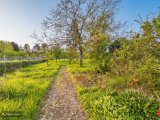 Gartenansicht