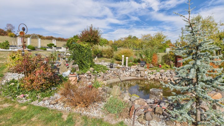 Umfassend modernisiertes und gepflegtes Einfamilienhaus mit herrlichem Garten in Wadern-Lockweiler