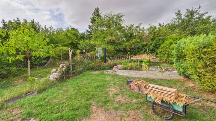 Ihr neues Zuhause in der Nordpfalz – naturnah wohnen, entspannt leben