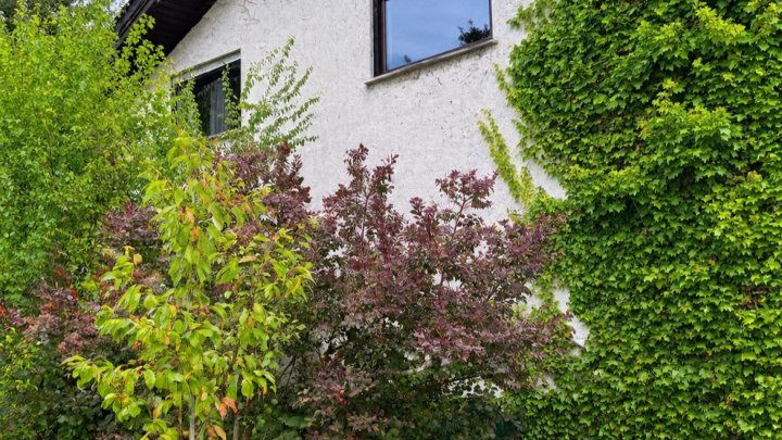 Großzügiges Einfamilienhaus in Großrosseln - Stilvolles Wohnen mit Kamin und großem Garten