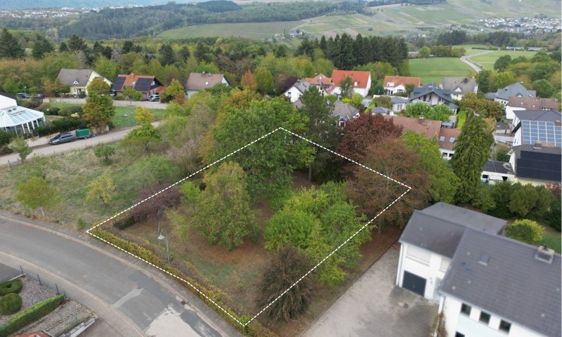 Großzügiges Grundstück mit Baumbestand in gefragter Wohnlage von Konz-Kommlingen