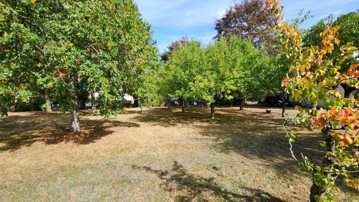 Großzügiges Grundstück mit Baumbestand in gefragter Wohnlage von Konz-Kommlingen