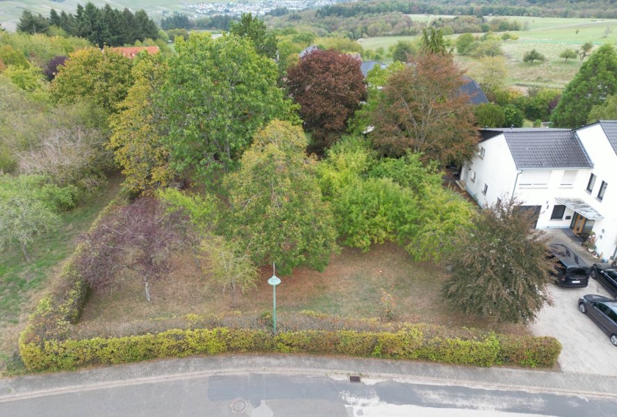 DJI_0101