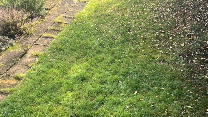 Charmantes 1-2 Familienhaus in Saarbrücken-Herrensohr -  Wohnen mit vielfältigen Möglichkeiten