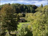 Blick in den Garten