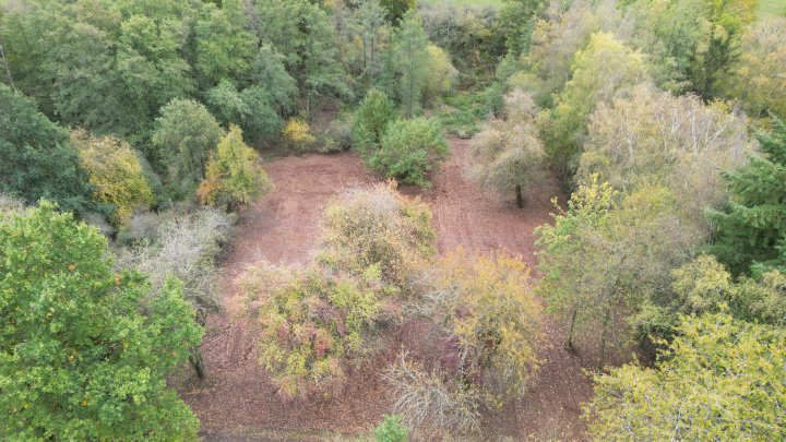 Dein Platz im Grünen – 1.985 m² Wochenendgrundstück in Schmelz
